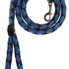 רצועה קלועה S