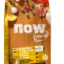 נאו לגורי כלבים