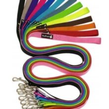 רצועה לכלב L במגוון צבעים