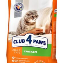 CLUB 4 PAWS לחתול עוף 14 קילו