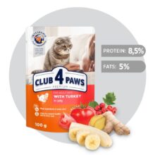 CLUB 4 PAWS פאוץ' לחתול במגוון טעמים