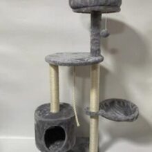 מתקן גירוד אפור